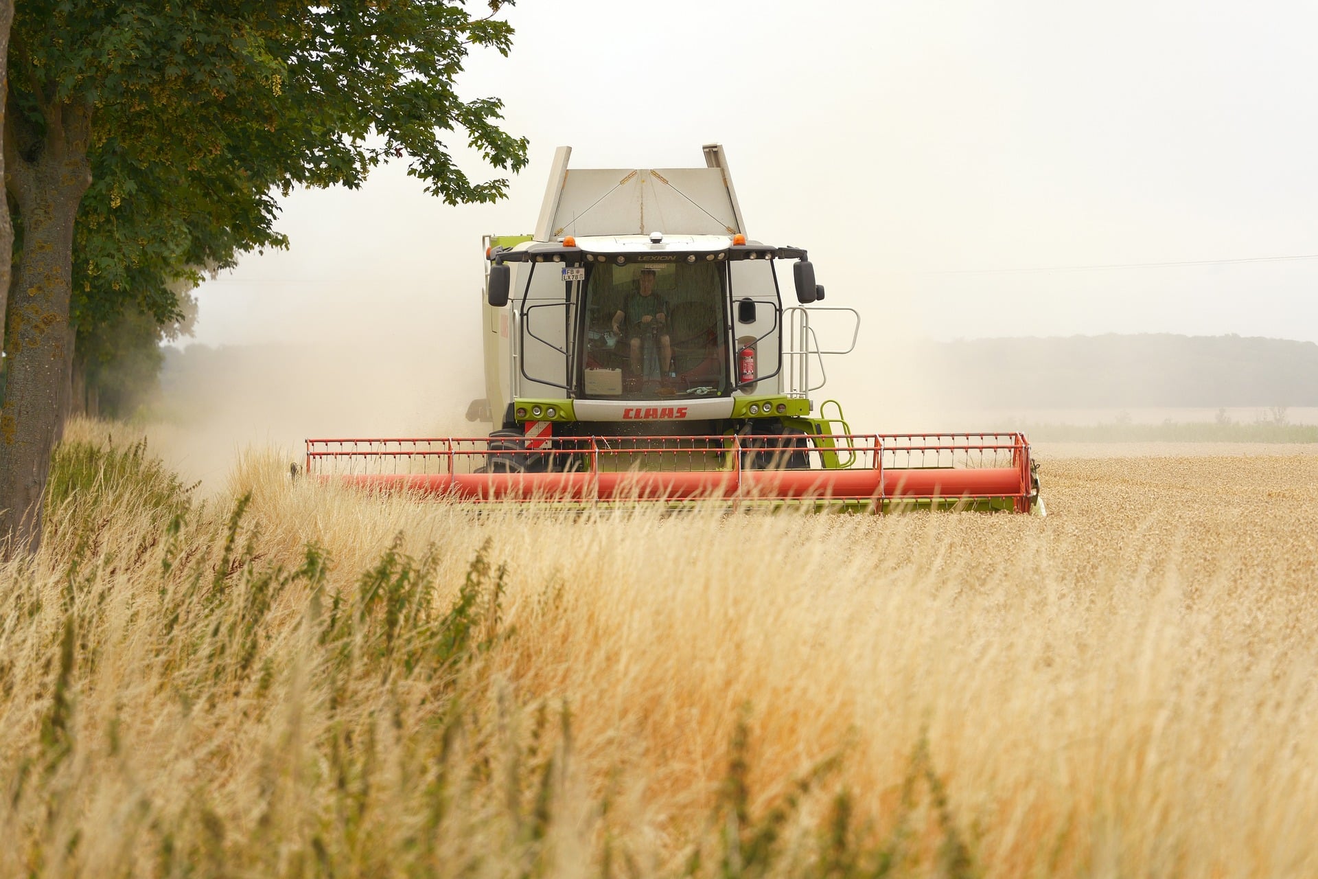 Landwirtschaft
